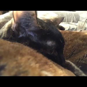 Meet your Posher, Rebecca